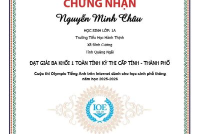 🎉 VINH DANH THÀNH TÍCH HỌC SINH THAM GIA KỲ THI IOE CẤP TỈNH/THÀNH PHỐ 🎉